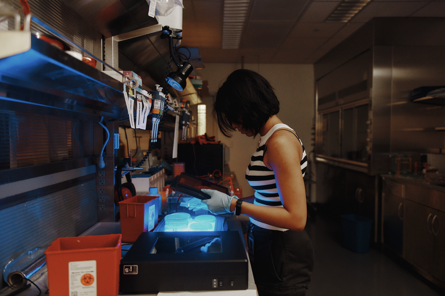 A researcher reviewing petri dishes and recording data.