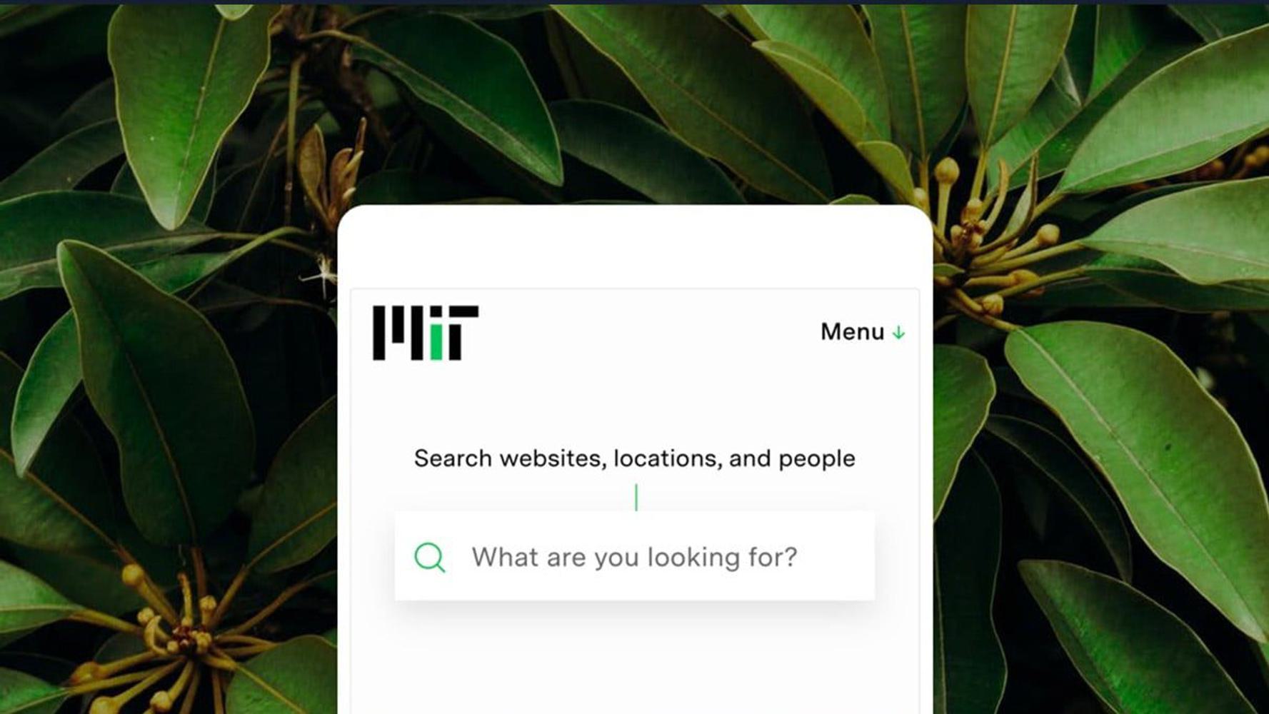 A webpage with the MIT logo in the top left corner and "Menu" on the top right. Below, there is a search bar with the prompt "What are you looking for?"