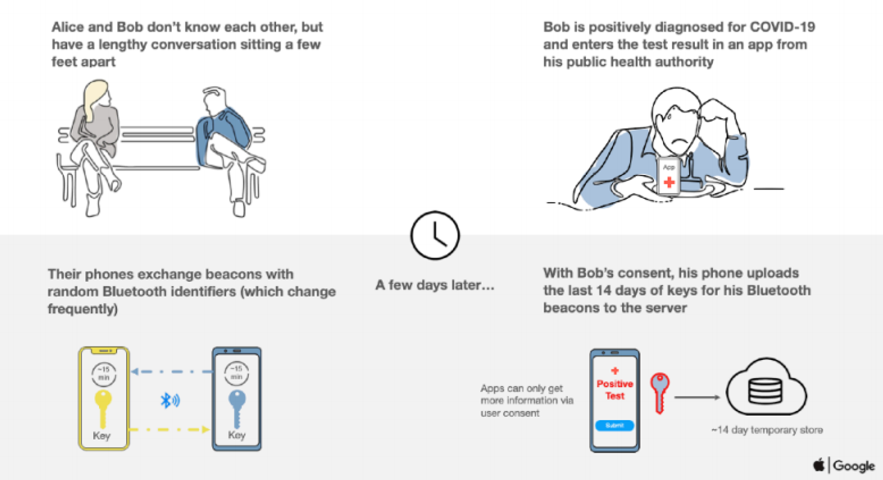 A four-part diagram explaining a COVID-19 contact tracing process using smartphones. Alice and Bob have a conversation. Bob later tests positive for COVID-19. Their phones exchanged Bluetooth keys. With Bob's consent, his phone uploads these keys for contact tracing.
