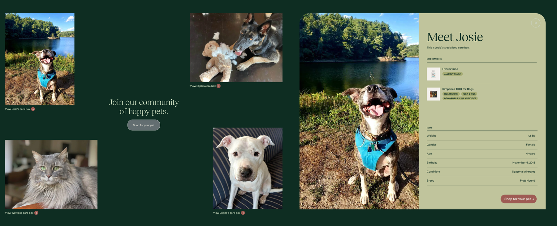 A page on the Koala website displays various pet photos and information on "Josie," including her breed, age, weight, and adoption status. Other pet photos include a gray cat, a white dog, and a black dog with a toy. "Join our community of happy pets" is written in the center.