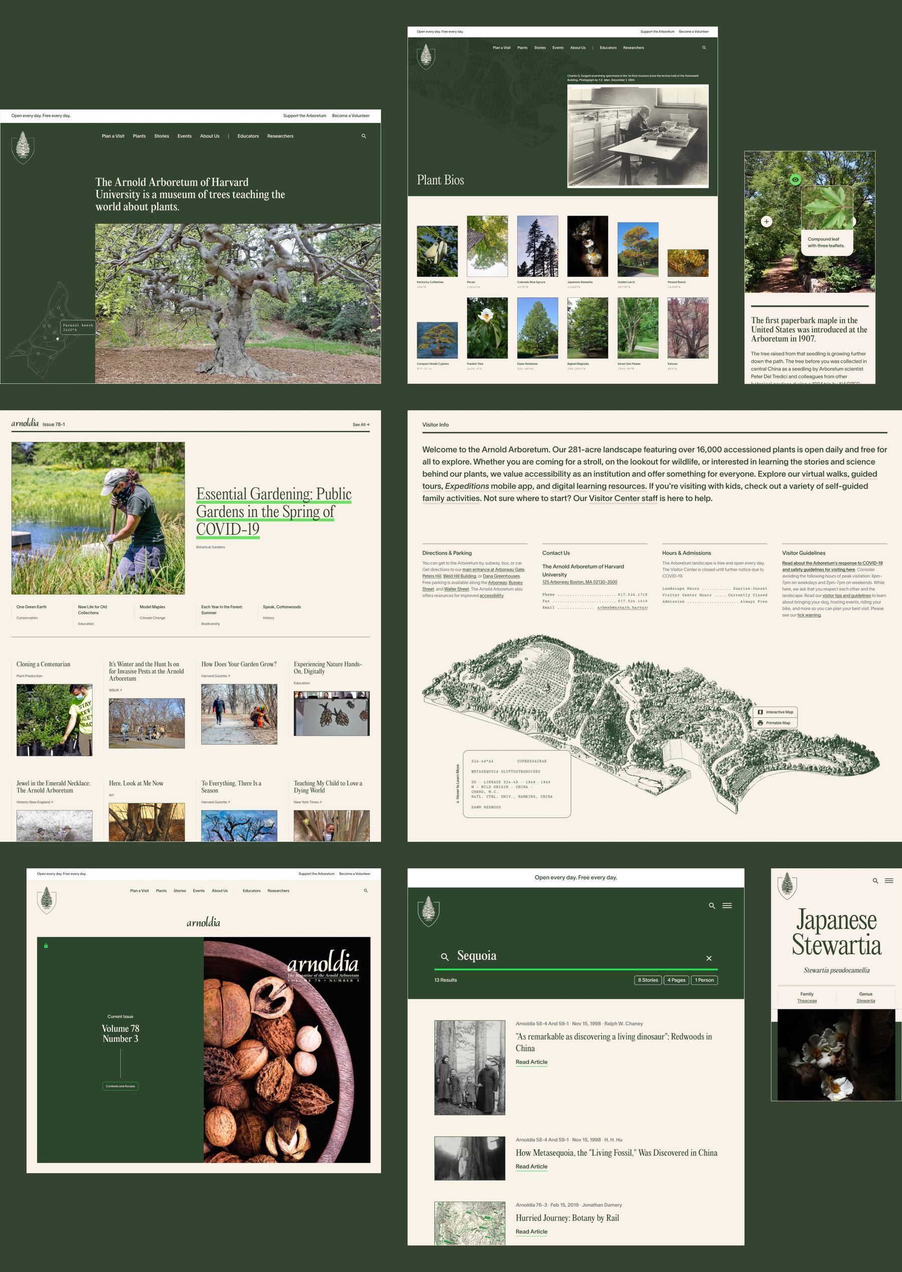 Collage of pages from the Arnold Arboretum website featuring botanical garden information, including tree images, gardening tips, map of the garden, and images of acorns.