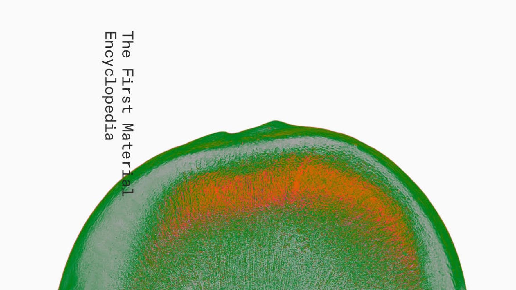 Detail of a zoomed-in cell obtained using Matter technology.